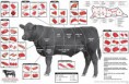 /album/rozdelovanie/beef-cart-1-jpeg/